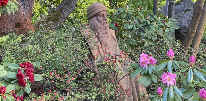 Osho v Bhagatově zahradě.